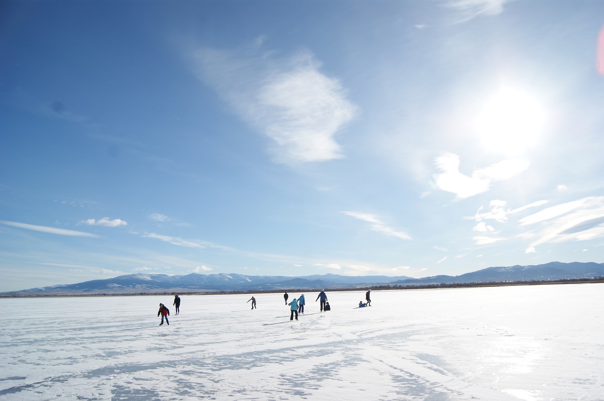 Ice Skating Family by Andrew F.