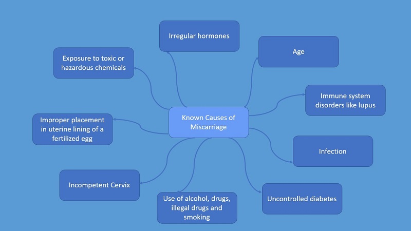 Causes of Miscarriage