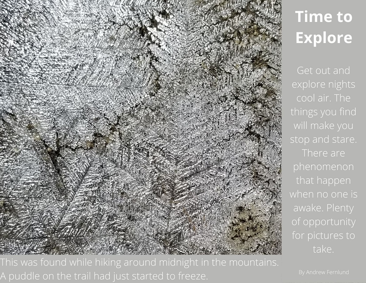 Frozen Trail Puddle by Andrew Fernlund frozen trail puddle puddle freeze ice fern
