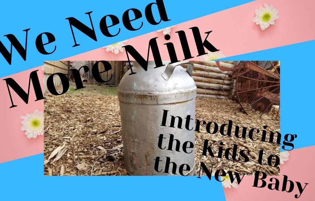 Introducing Kids to the New Baby